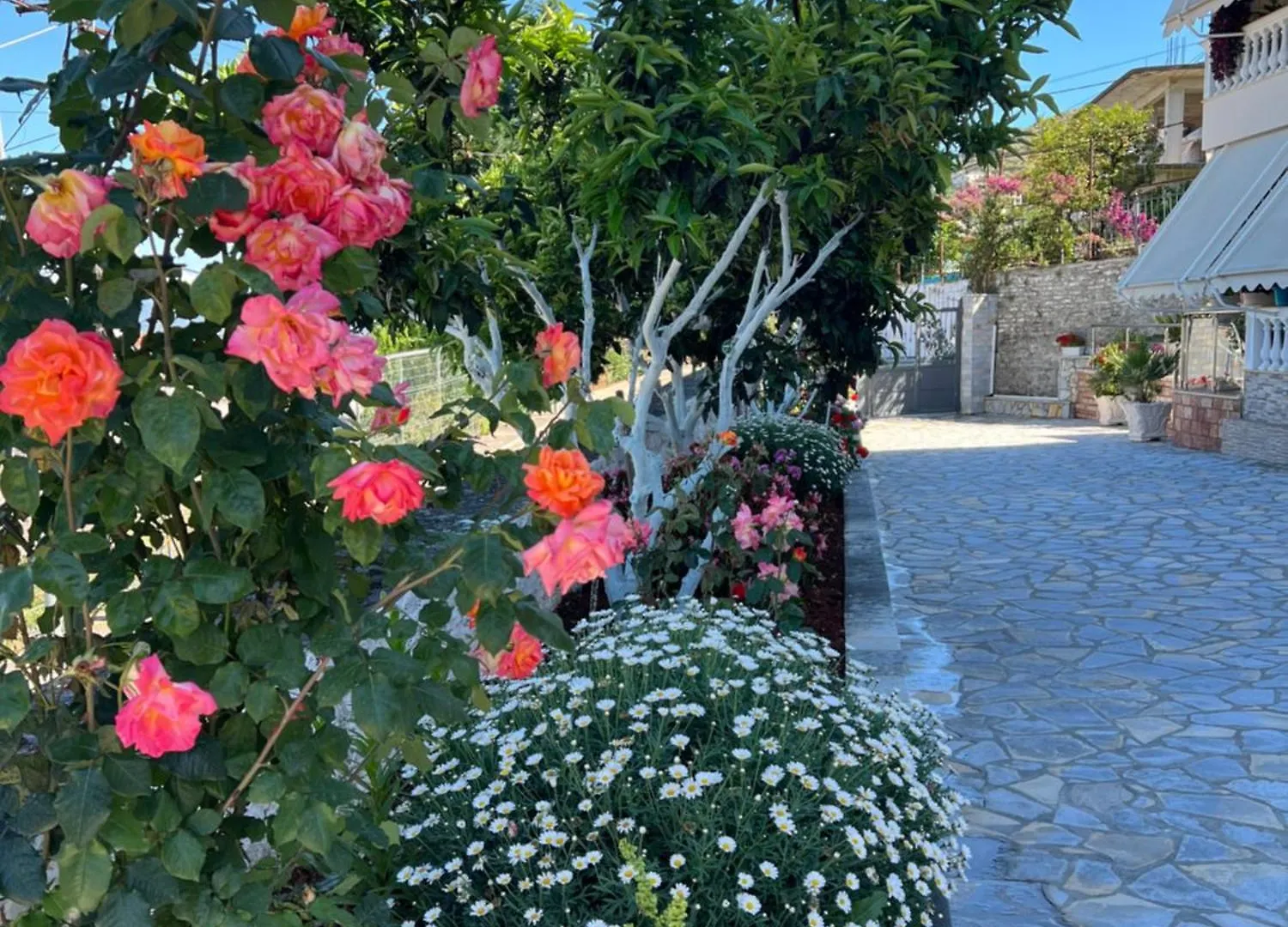 Amazing Familiar Apartments And Rooms Sarandë