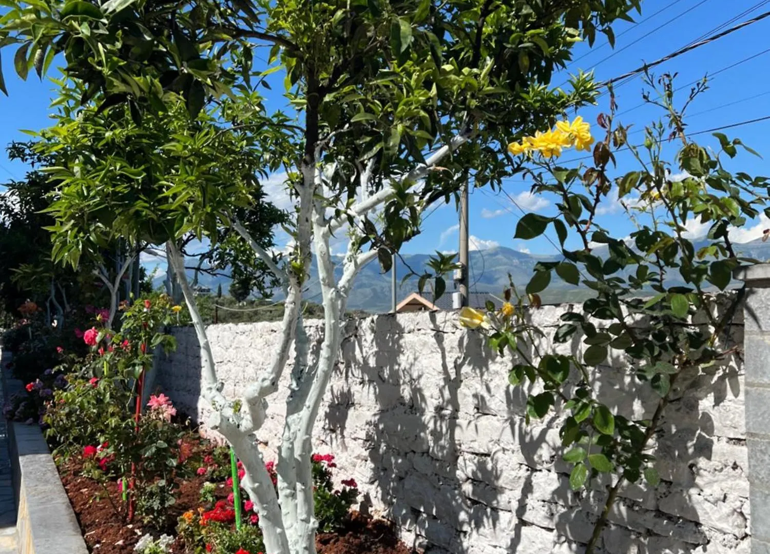 Amazing Familiar Apartments And Rooms Sarandë